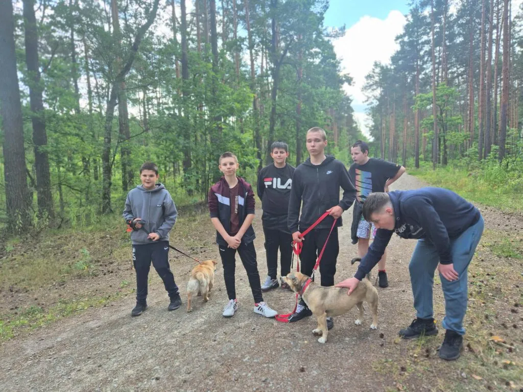 Wolontariat w schronisku Wolontariat w schronisku