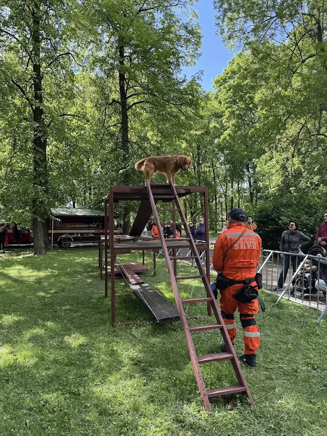 Międzynarodowy Dzień Strażaka