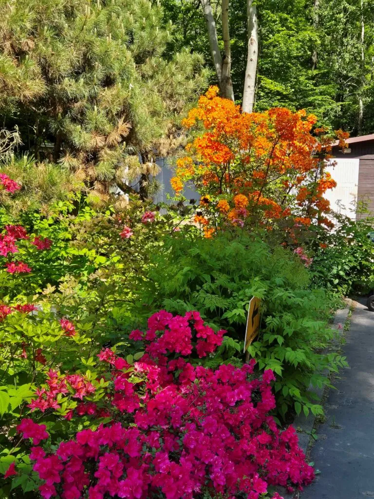 W Ogrodzie Botanicznym