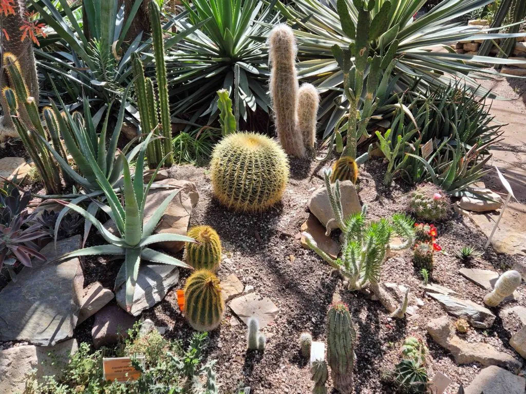 W Ogrodzie Botanicznym