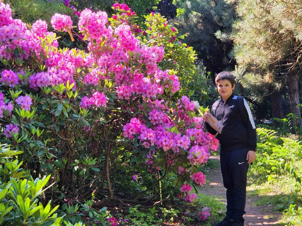 W Ogrodzie Botanicznym