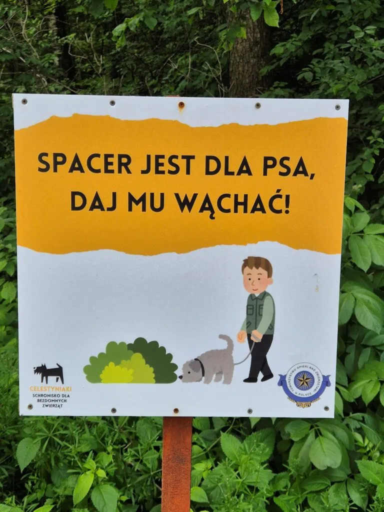 Wspieramy psiaki