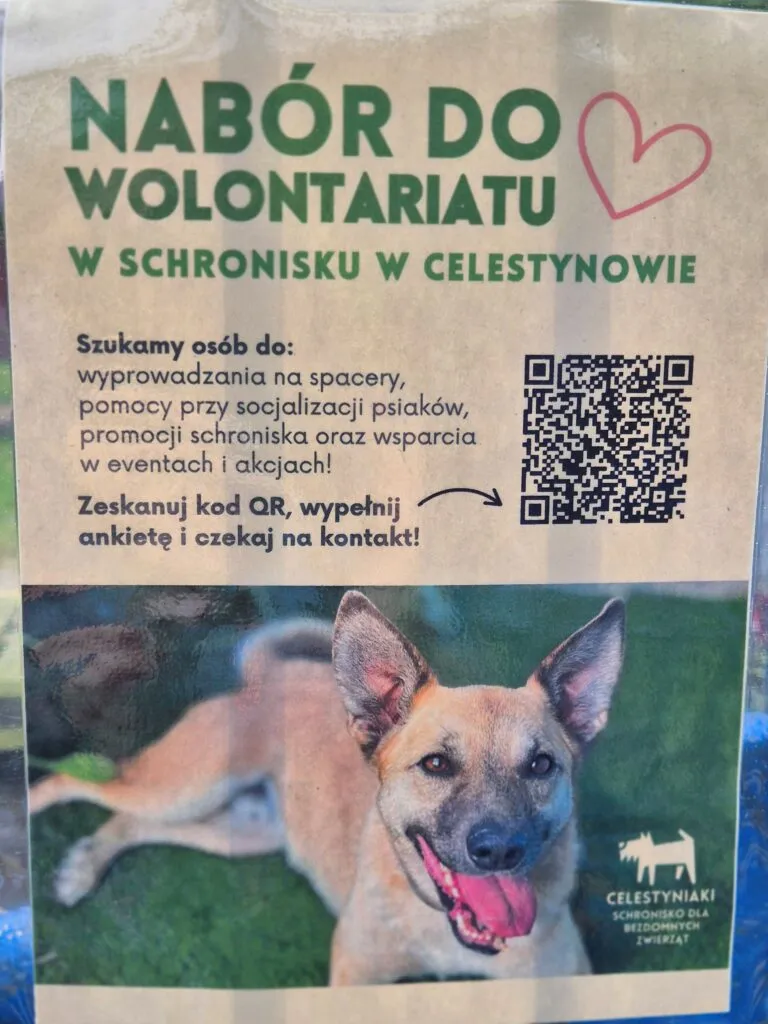 Wspieramy psiaki