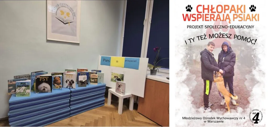 Wystawa książek w bibliotece Wystawa książek w bibliotece