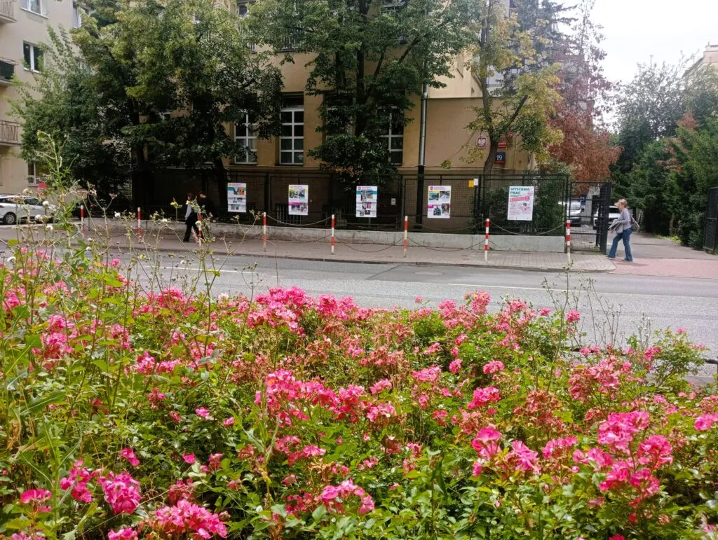 Pokonkursowa wystawa plenerowa
