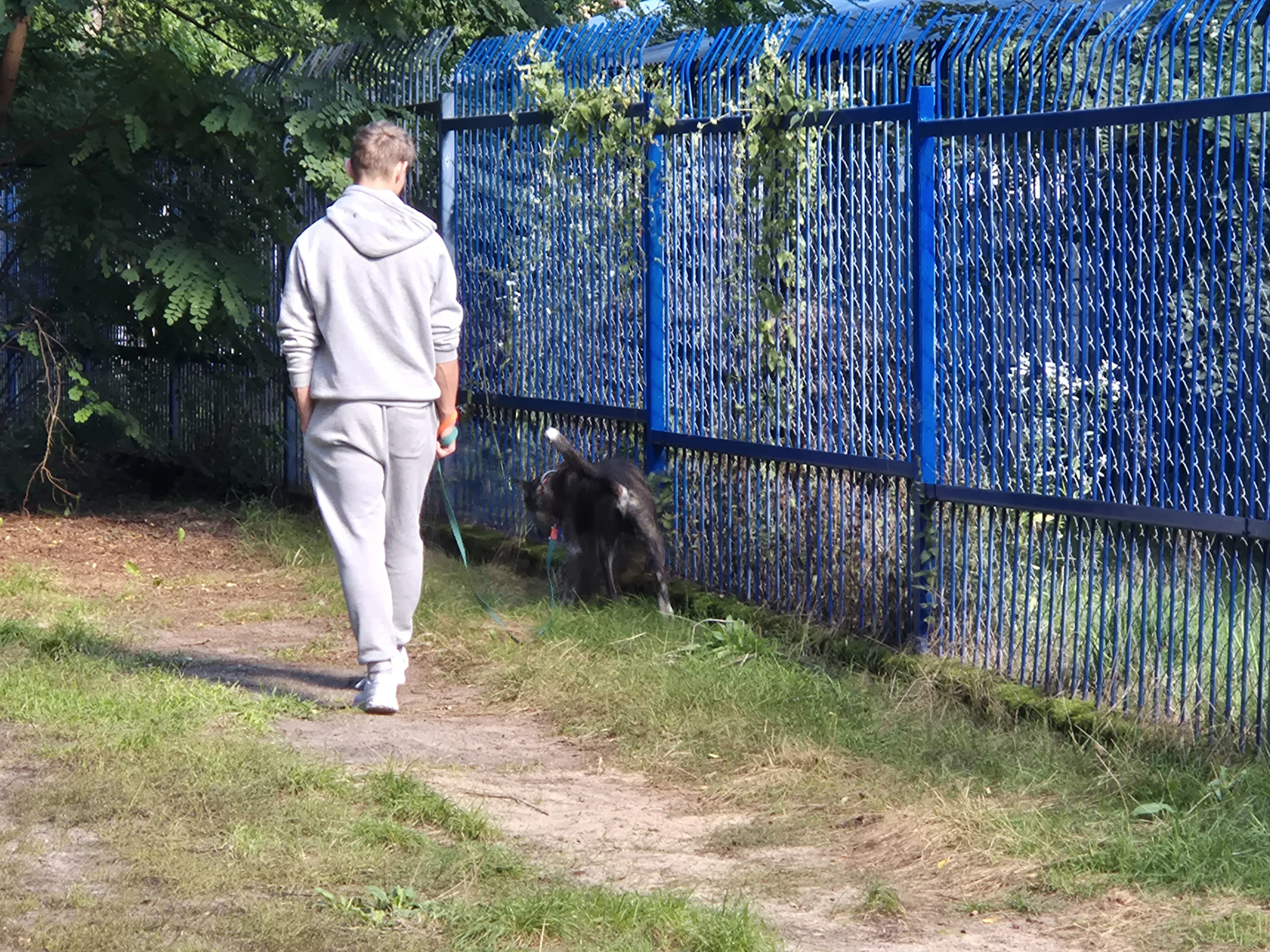 Wolontariat dla zwierząt w Celestynowie, wyjście z pieskami