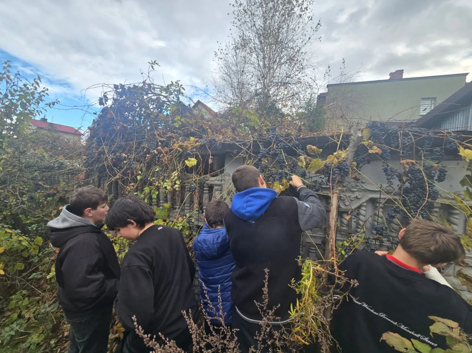 zbieranie cała grupa