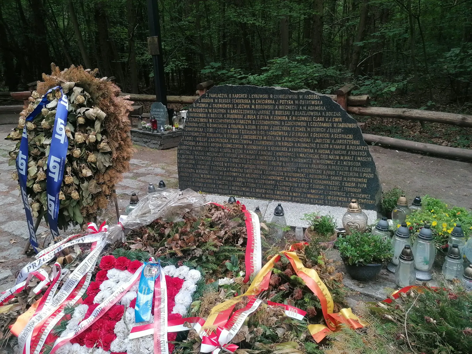 w rezerwacie przyrody