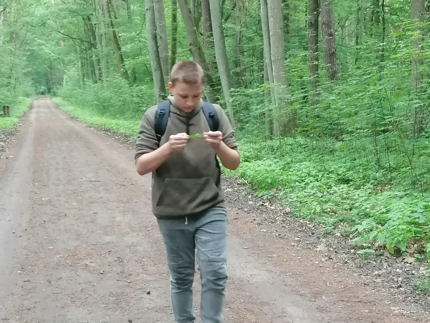 rajd