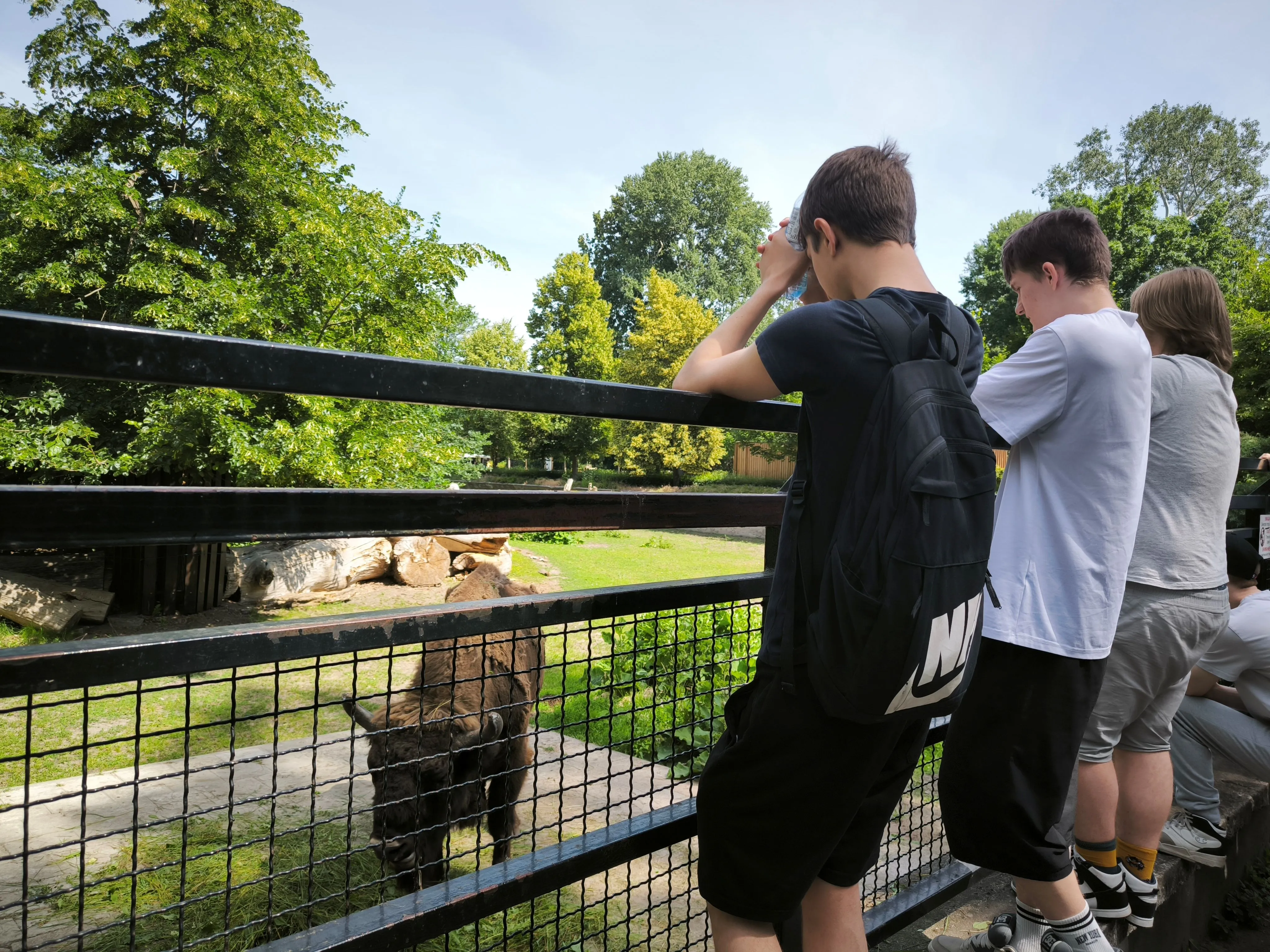 ZOO