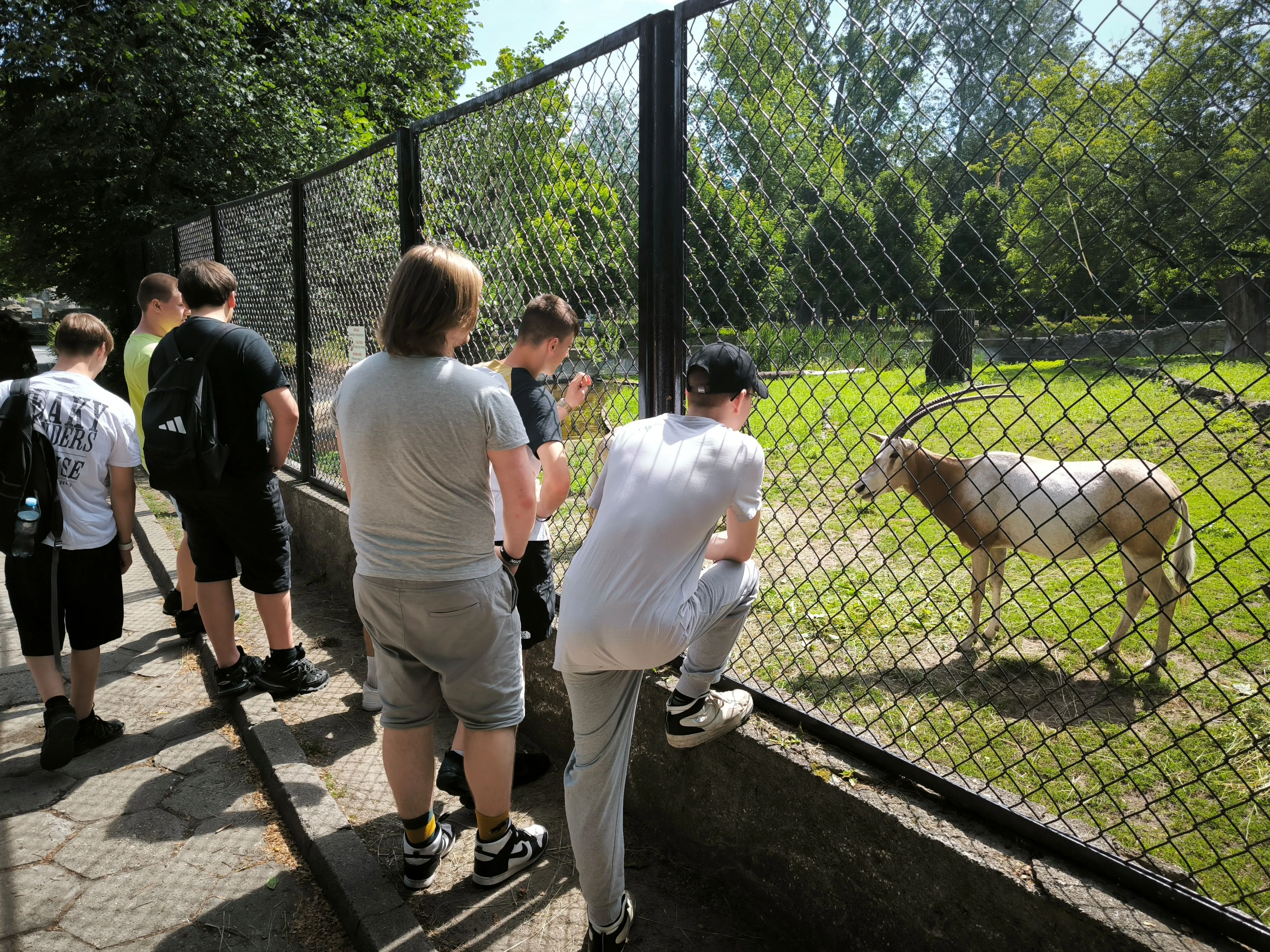 ZOO