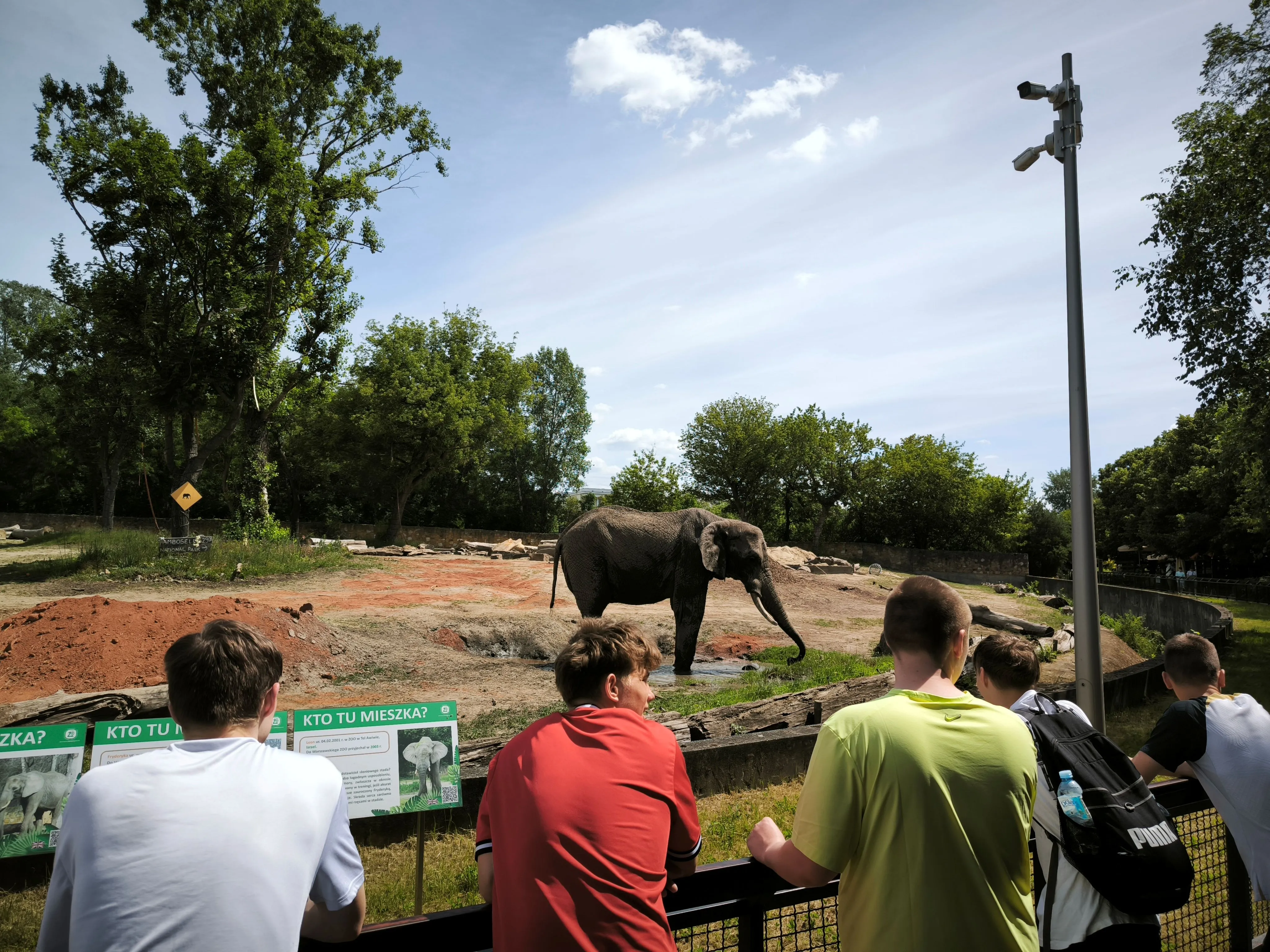 ZOO