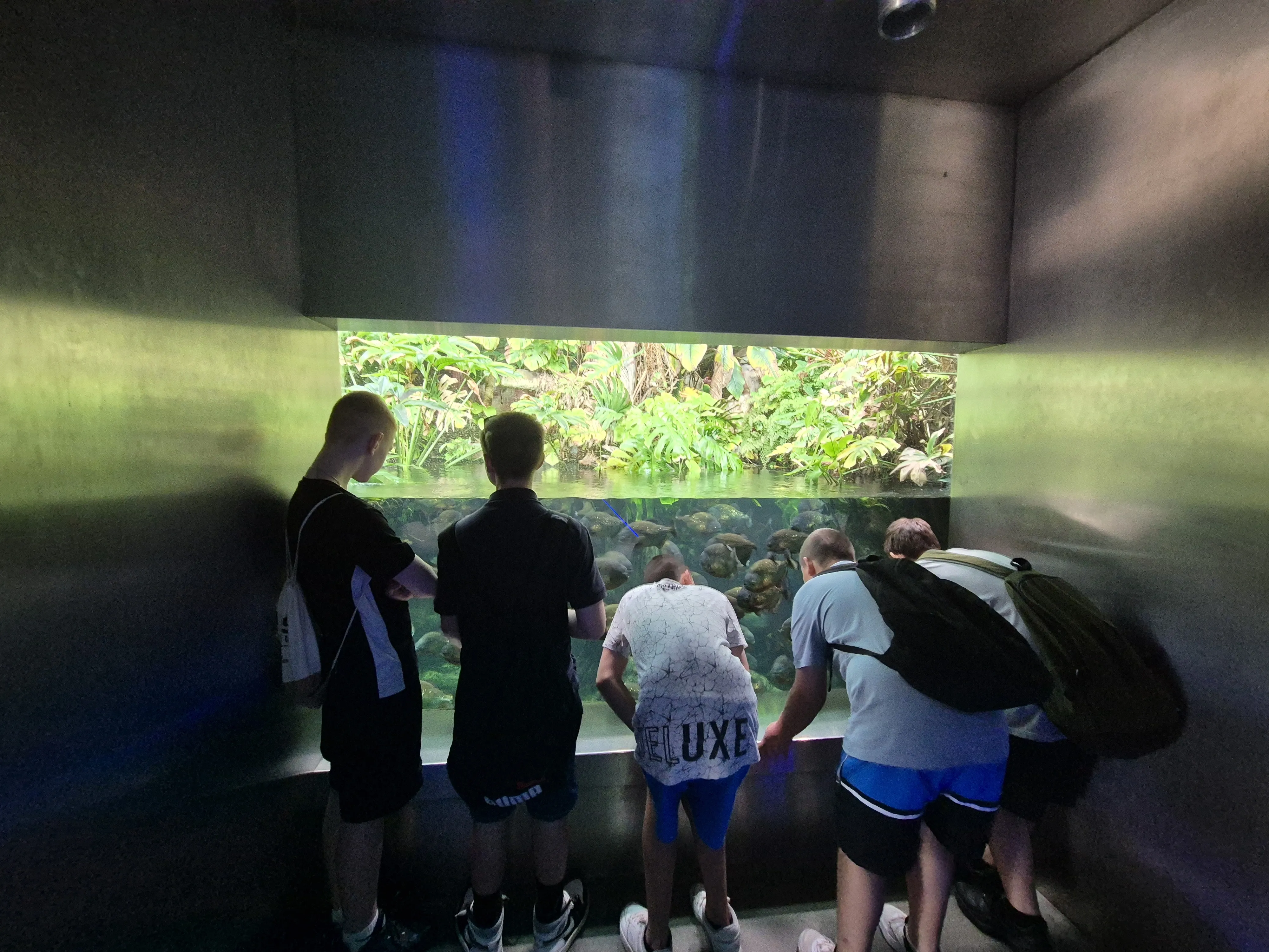 ZOO
