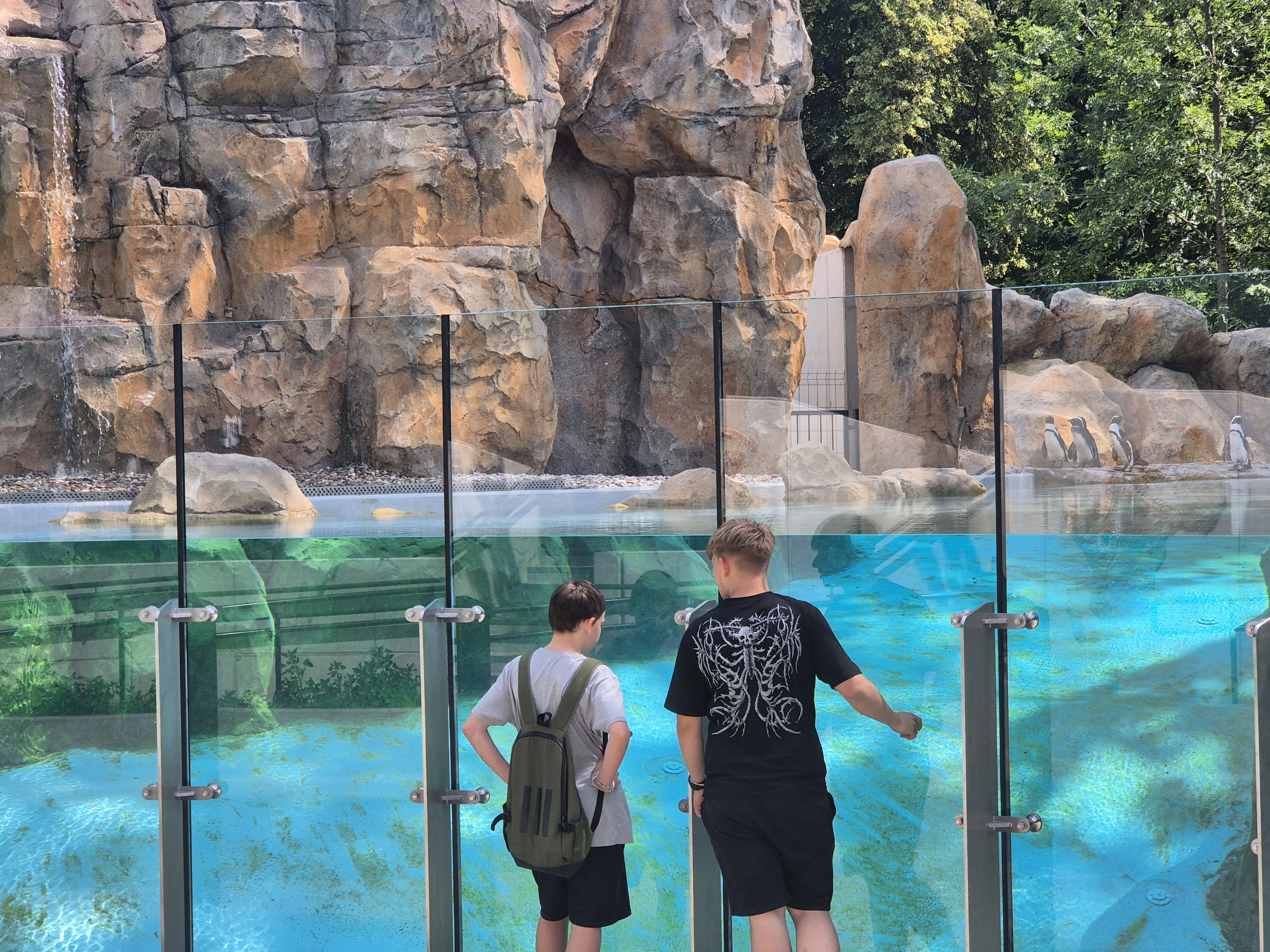 ZOO