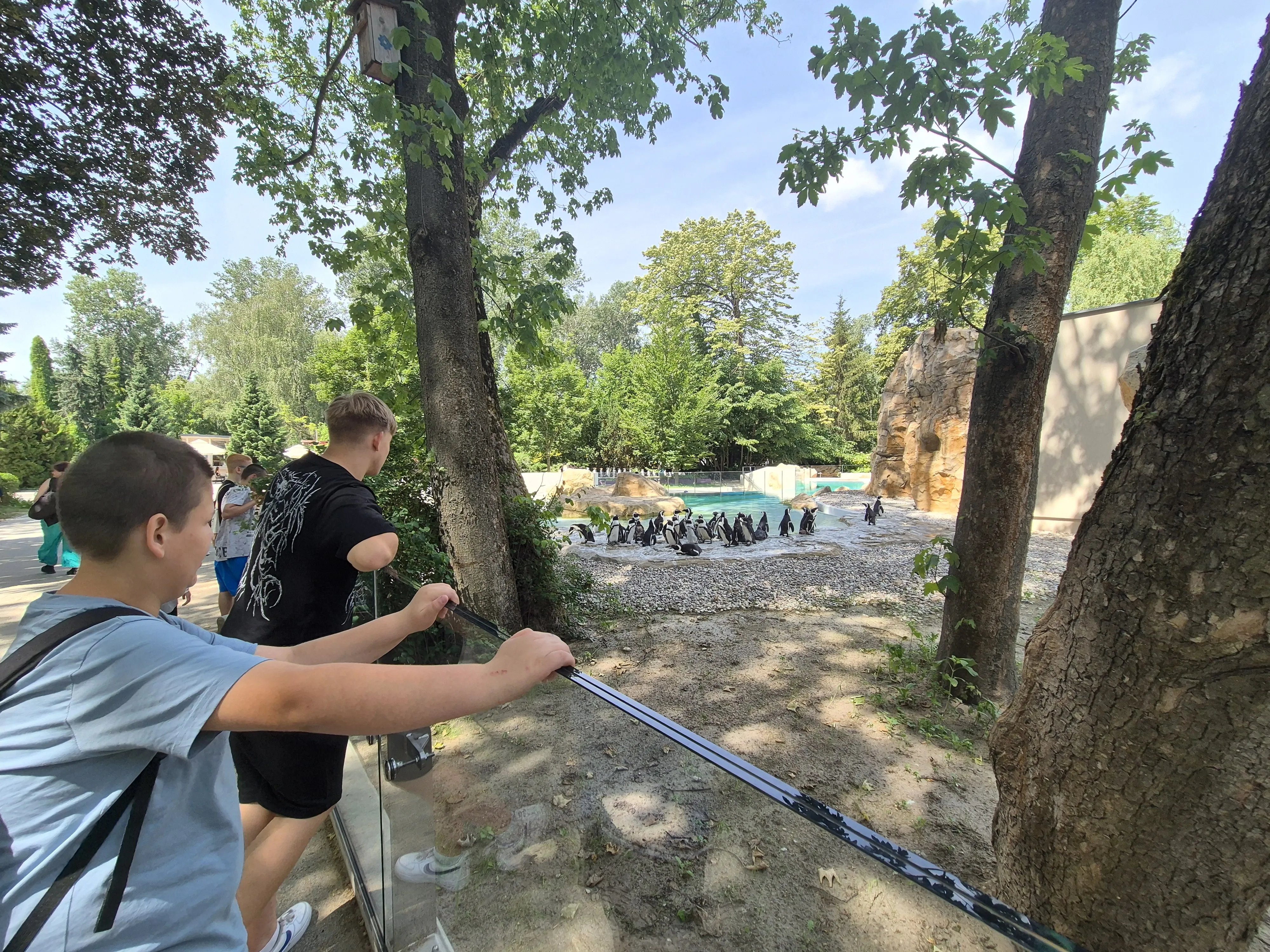 ZOO